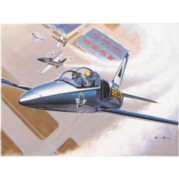 Trumpeter - 1/48 L-39c Albatro - Trp05804