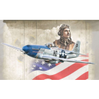 Italeri - 1/72 P-51D MUSTANG ACES (05/25) *