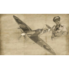 Italeri - 1/48 SPITFIRE MK. IX ACES