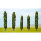 Busch - 5 Silberpappeln N/z (Bu6228)
