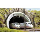 Busch - Ice-tunnelport 2gl. N (Bu8195)