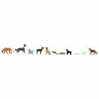 Faller - Chiens et chats - FA151902