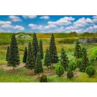 Faller - 25 Mixed forest trees, small, assorted