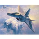 Hasegawa - 1/48 F22 Raptor