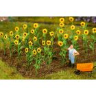 Faller - 16 Sunflowers