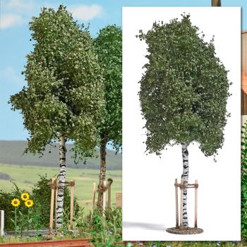 Busch - 1/45 JUNGE BIRKE MIT BAUMSTUTZEN 0 (7/23) *