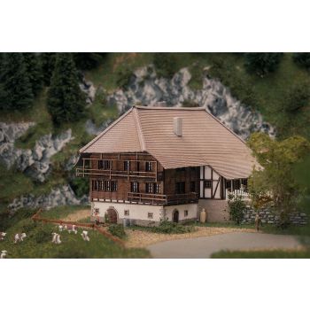 Faller - 1/220 JUBILAUMSMODELL SCHWARZWALDHOF