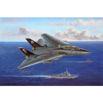 Hobbyboss - 1/48 F-14b Tomcat - Hbs80367