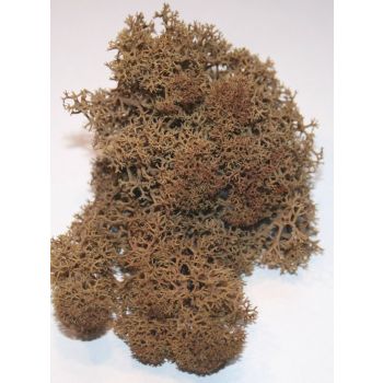 JoeFix - BASIC BROWN MOSS