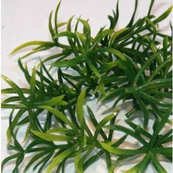 JoeFix - NAM GRASS