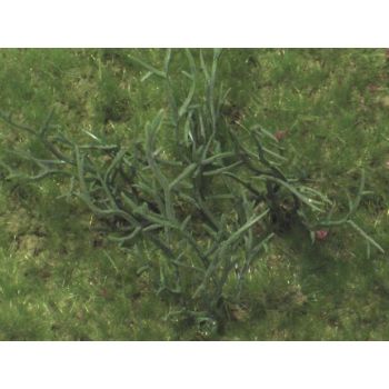 JoeFix - NAM BUSH 7
