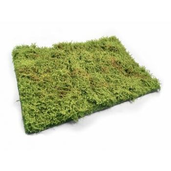 Mig - Wilderness Fields With Bushes Spring 230x130mm (6/22) *mig8362