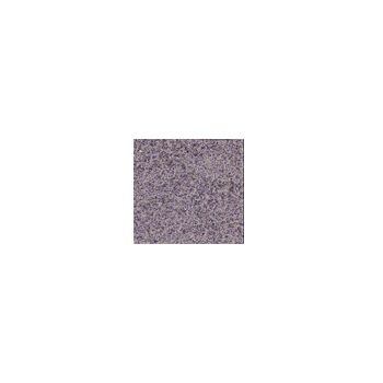 Plastruct - SHEET CARPET FLOORING A DARK GRAY FELT 450x675MM 1X CRPT-4