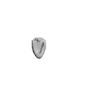 Plastruct - 1/100 WALL URINAL POLY. WH. 8X OLB-155