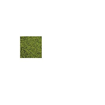 Plastruct - GROUND COVER SPRING GREEN EXTRA FINE 50 GR. GC-41