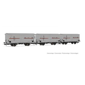 Rivarossi - FS 3-P REF. WAGONS HGB 2-AXLES SILVER RED III (12/23) *