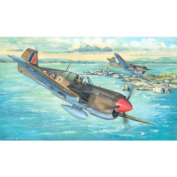 Trumpeter - 1/32 P-40m War Hawk - Trp02211