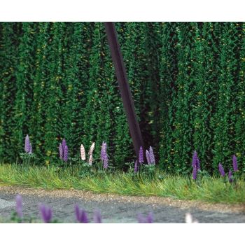 Busch - 8 Stauden Wildlupinen (7/19) * (Bu9792)