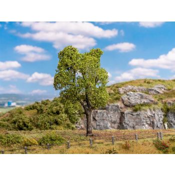 Faller - 1/87 Boom Gewone Acacia (11/21) *fa181703