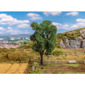 Faller - 1/87 Boom Echte Acacia (11/21) *fa181704