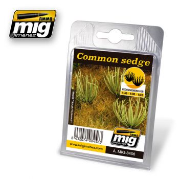 Mig - Common Sedge (Mig8456)