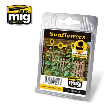 Mig - Sunflowers (Mig8458)