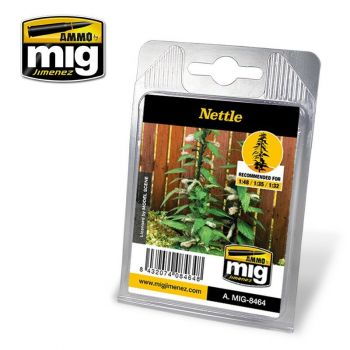 Mig - Nettle Plants (Mig8464)