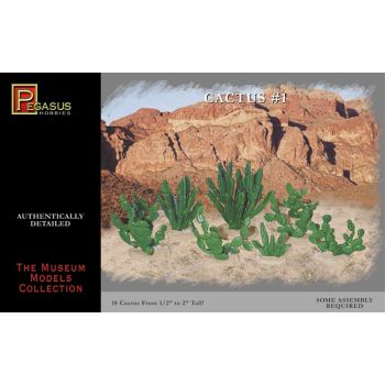 pegasus -  Large cactus 13 mm - 50 mm (0.5" - 2")