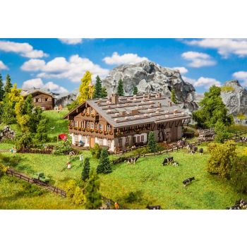 Faller - Large Alpine farm with barn